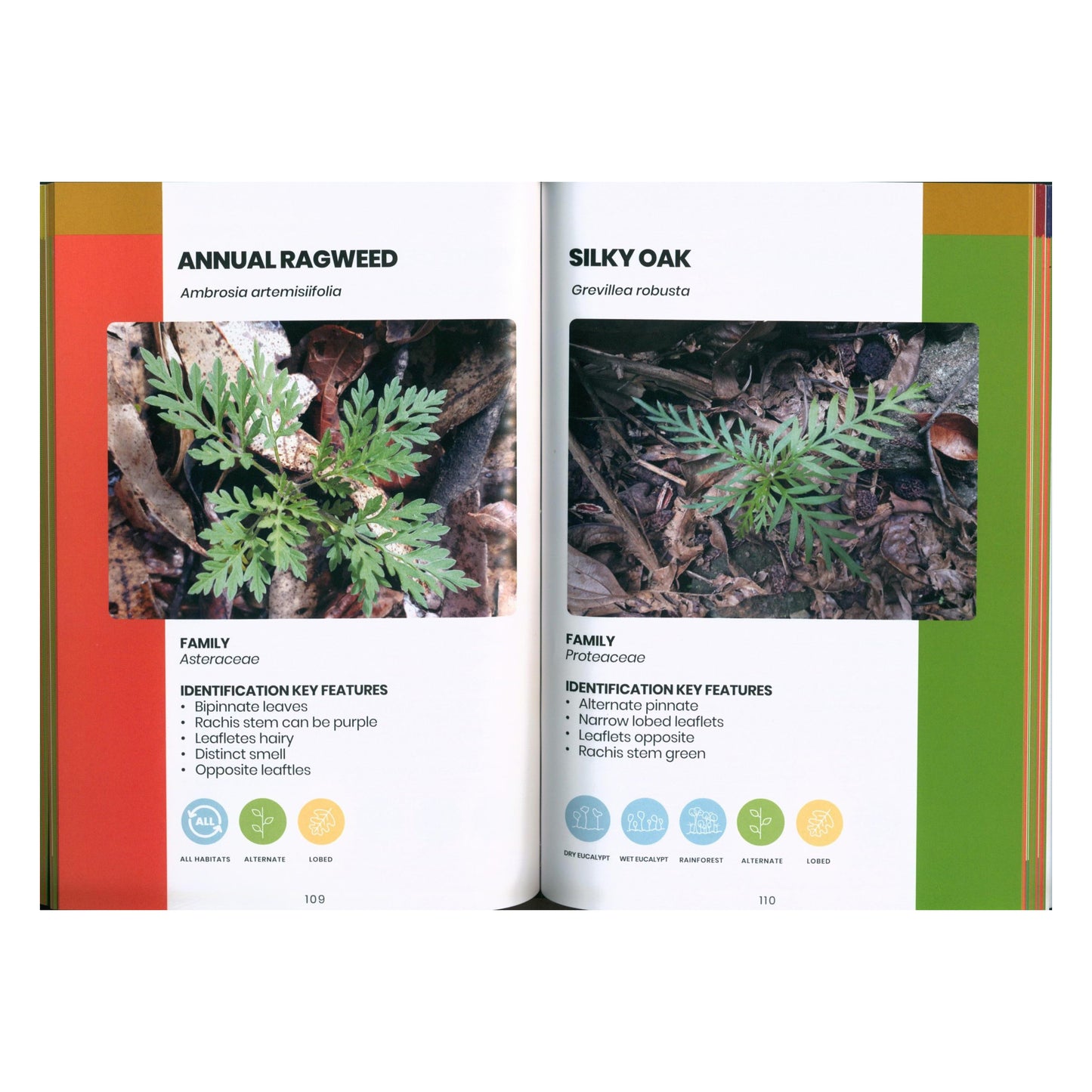 BOOK - WEEDLINGS & SEEDLINGS BY RUSTY LINNANE