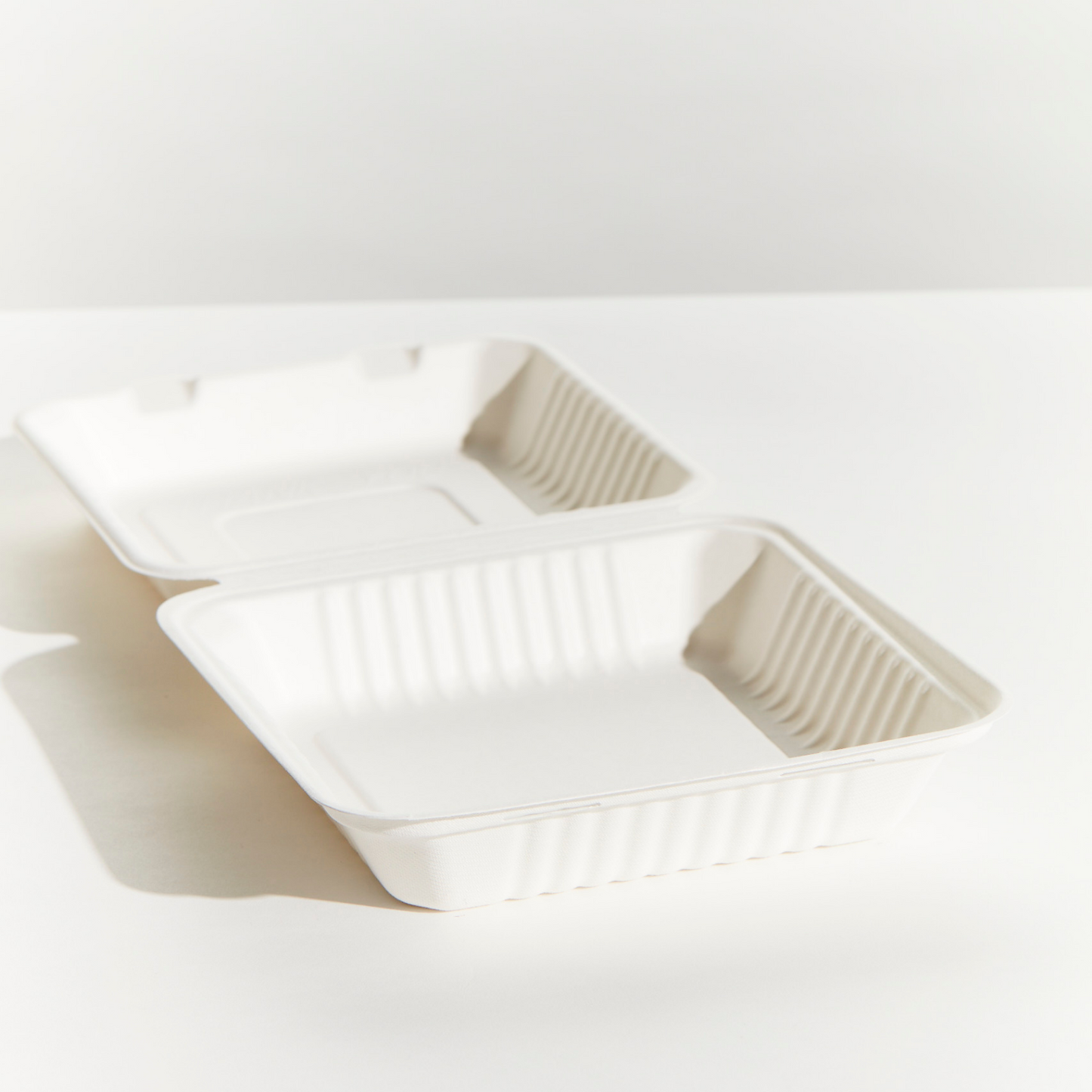 DINNER BOX - LARGE - SUGAR CANE
