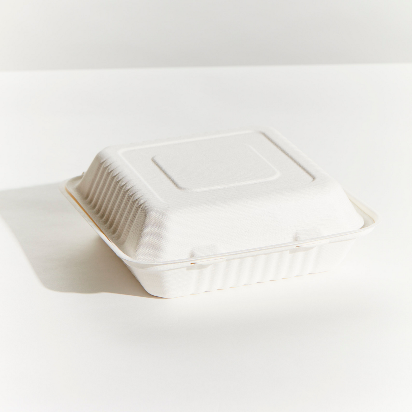 DINNER BOX - LARGE - SUGAR CANE