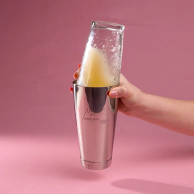 MR CONSISTENT - BAR TENDERS ESSENTIALS KIT - SHAKER & STRAINER